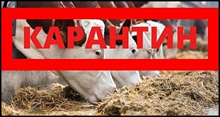 Об установлении ограничений по лейкозу крупного рогатого скота
