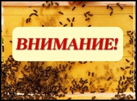 Об установлении ограничений по нозематозу пчел